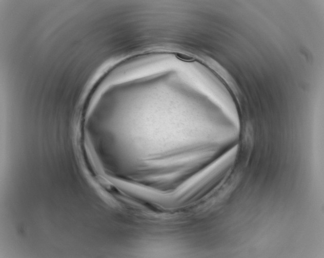 X0000113611005200910091538