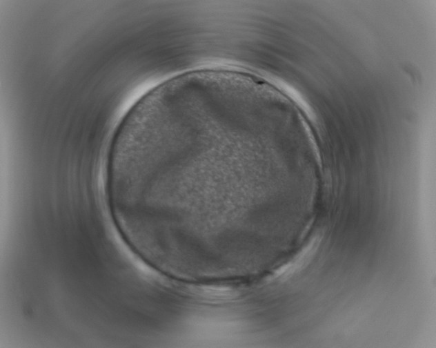 X0000113611007200910091538