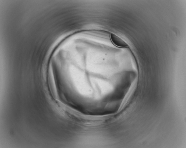 X0000113611008200910091538