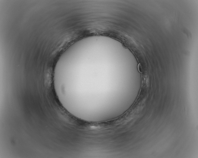 X0000113611012200910091537