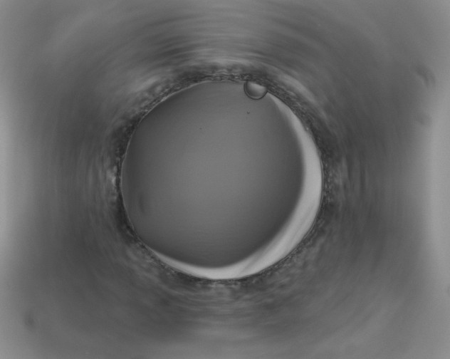 X0000113611013200910091537