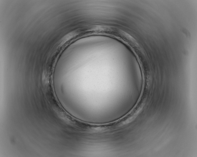 X0000113611017200910091537