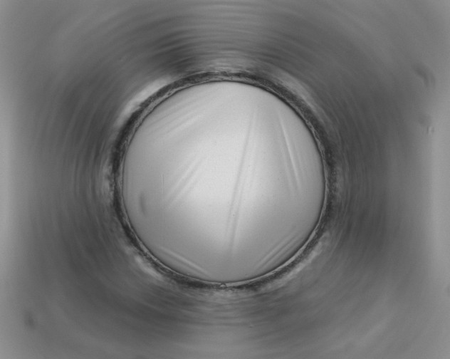 X0000113611018200910091537