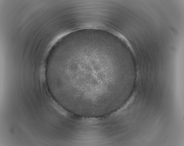 X0000113611019200910091537