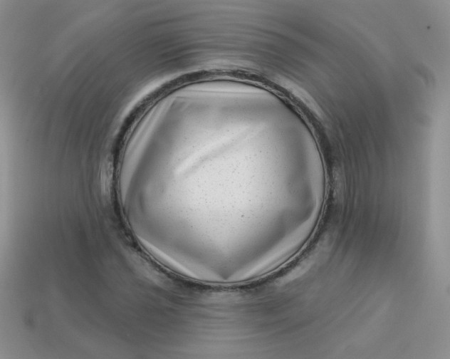 X0000113611021200910091537