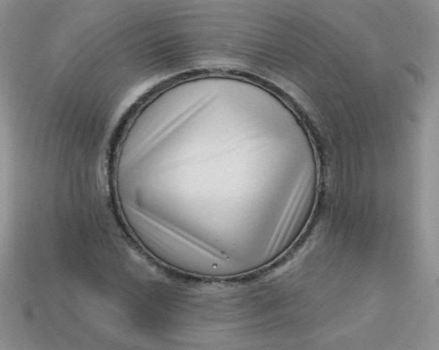 X0000113611022200910091537