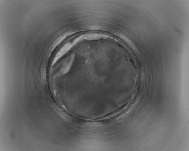 X0000113611023200910091537