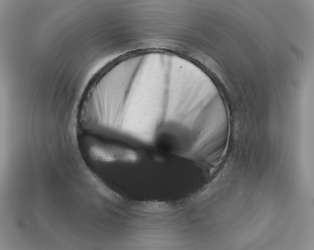 X0000113611024200910091537