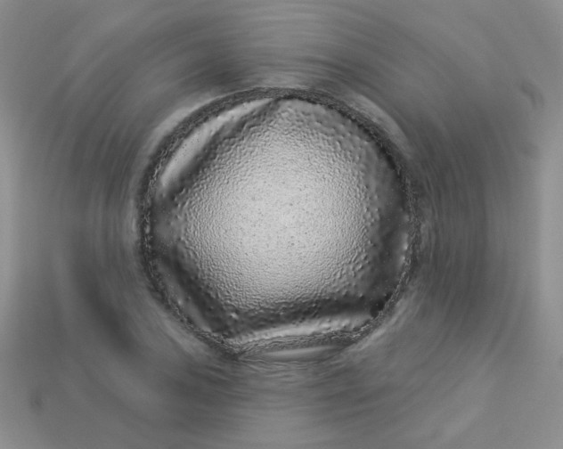 X0000113611027200910091537