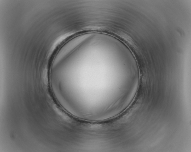 X0000113611030200910091537