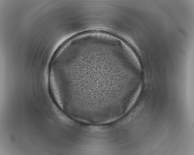 X0000113611032200910091537