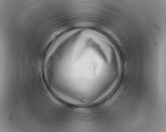 X0000113611033200910091537