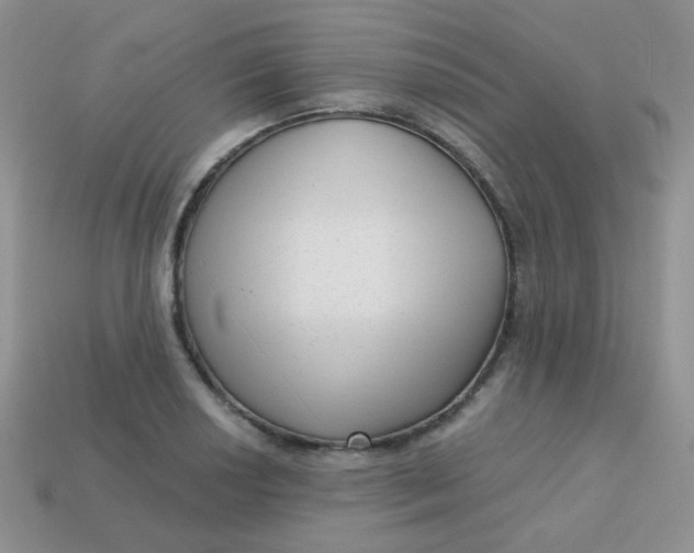 X0000113611034200910091537