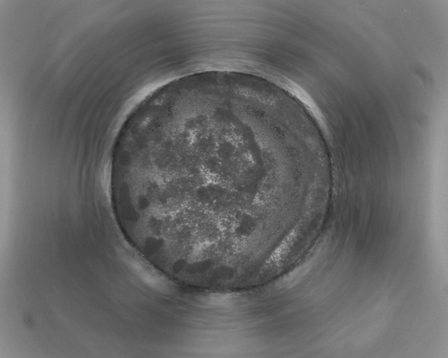 X0000113611035200910091537