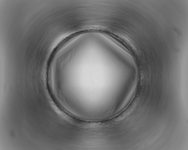 X0000113611038200910091537