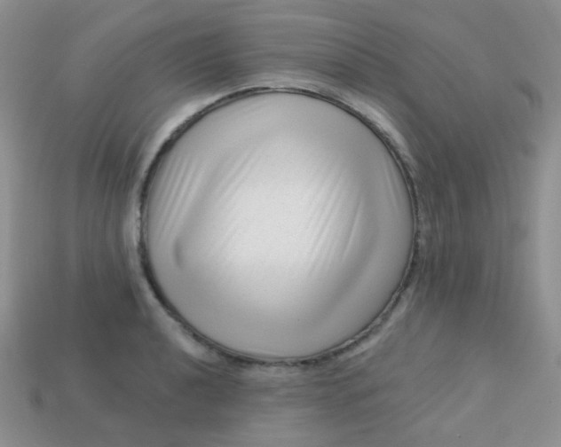 X0000113611040200910091537