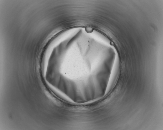 X0000113611042200910091537