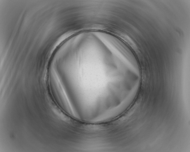 X0000113611044200910091537