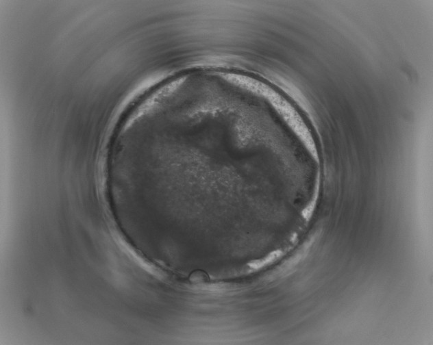 X0000113611045200910091537