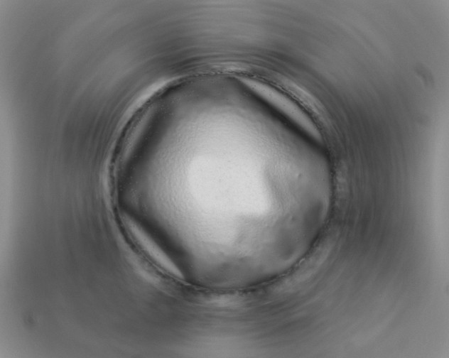 X0000113611047200910091537