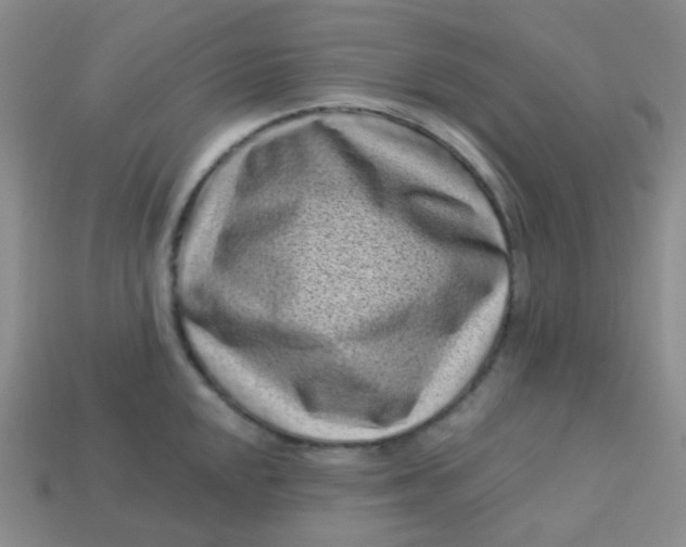 X0000113611048200910091537