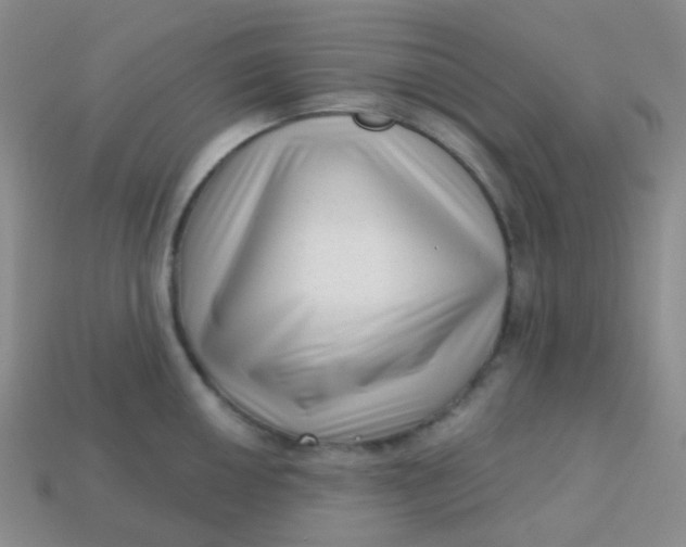 X0000113611050200910091538