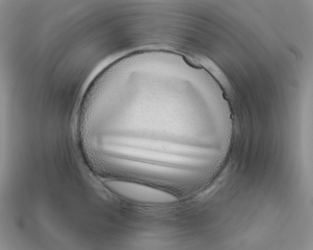 X0000113611052200910091538