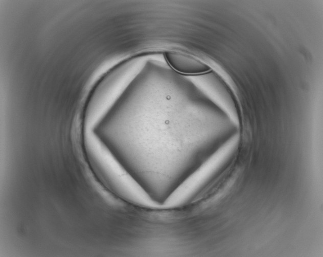 X0000113611053200910091538