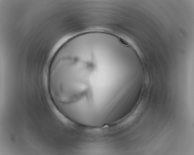 X0000113611054200910091538