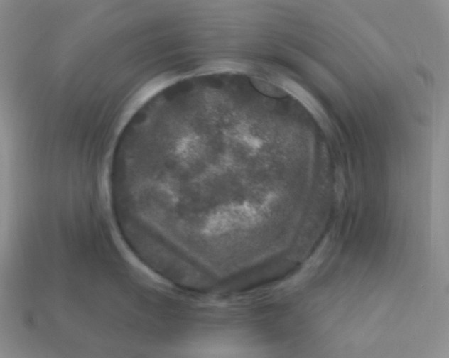 X0000113611055200910091538