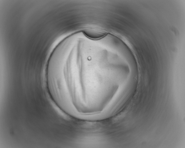 X0000113611056200910091538