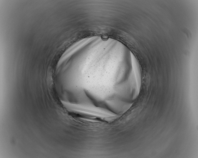 X0000113611058200910091537