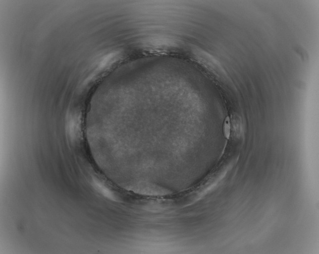 X0000113611060200910091537