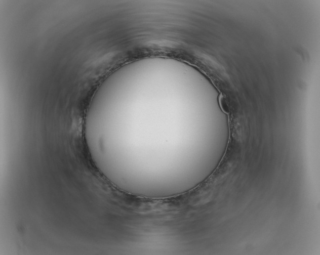 X0000113611061200910091537