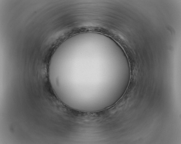 X0000113611062200910091537