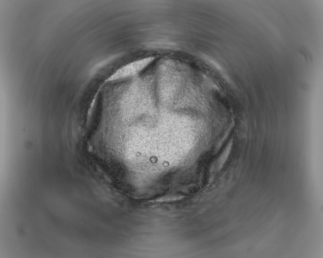 X0000113611063200910091537