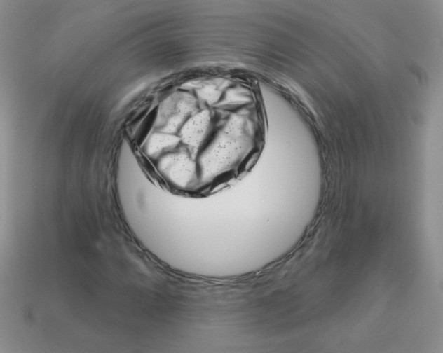 X0000113611064200910091537