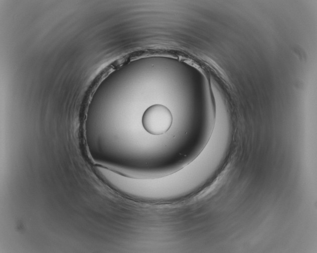 X0000113611065200910091537