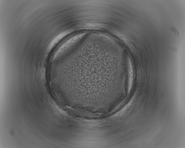 X0000113611066200910091537