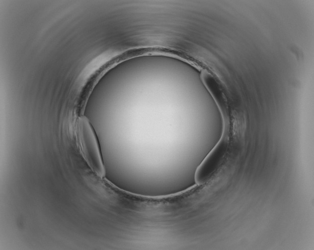 X0000113611069200910091537