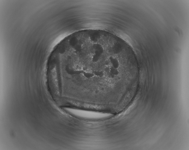 X0000113611071200910091537