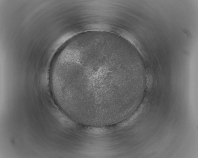 X0000113611074200910091537