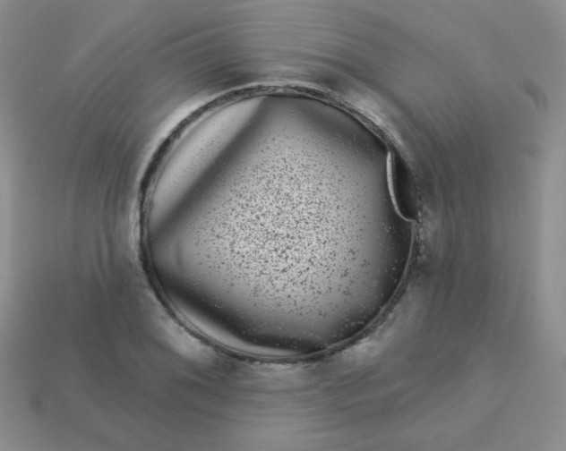 X0000113611076200910091537