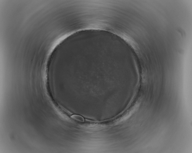 X0000113611077200910091537