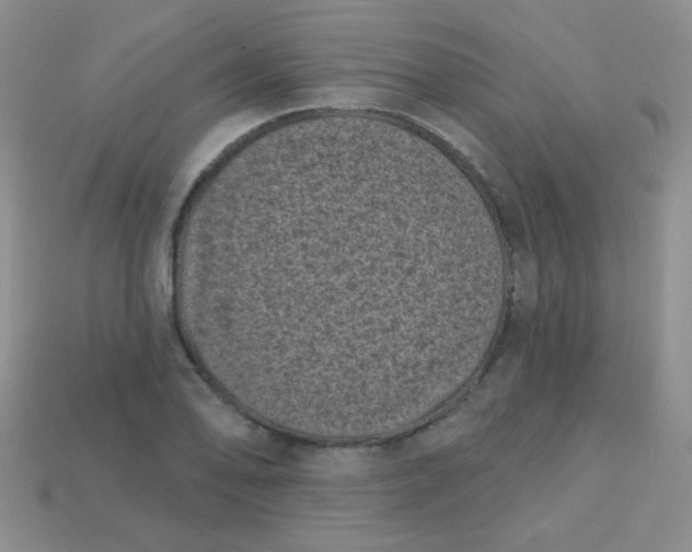 X0000113611078200910091537