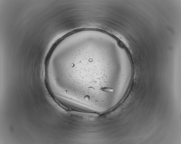 X0000113611080200910091536