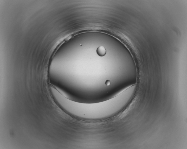 X0000113611081200910091536