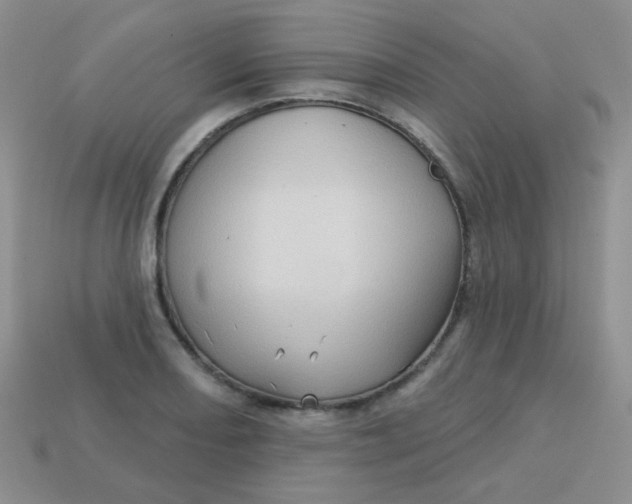 X0000113611082200910091536