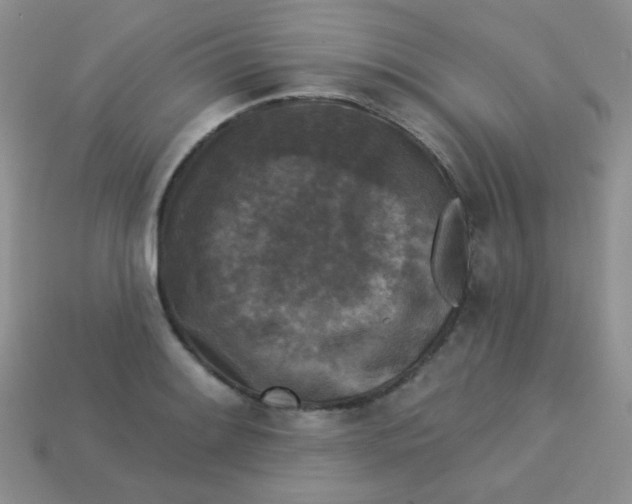 X0000113611084200910091536