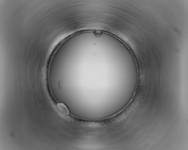 X0000113611085200910091536